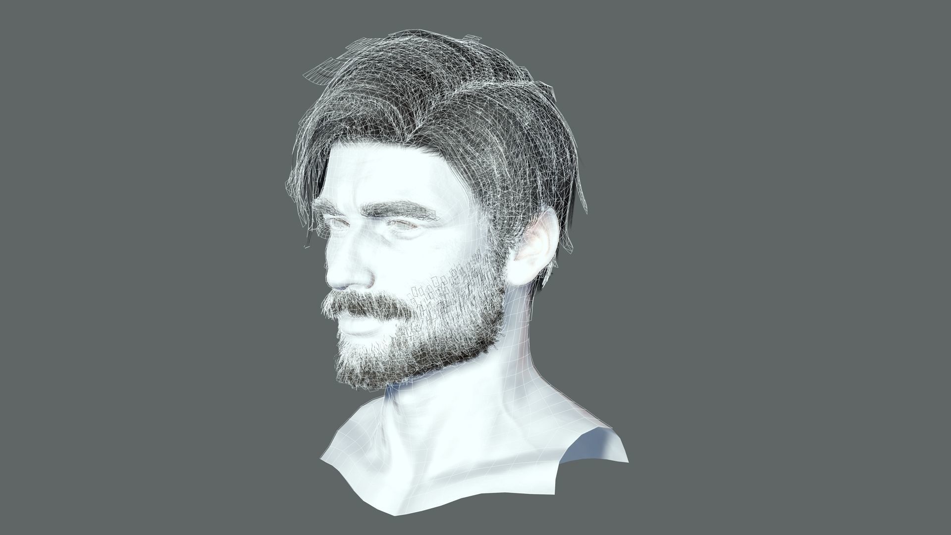 Realistic Hair Beard brows mustache p6 Low-poly 3D model_13