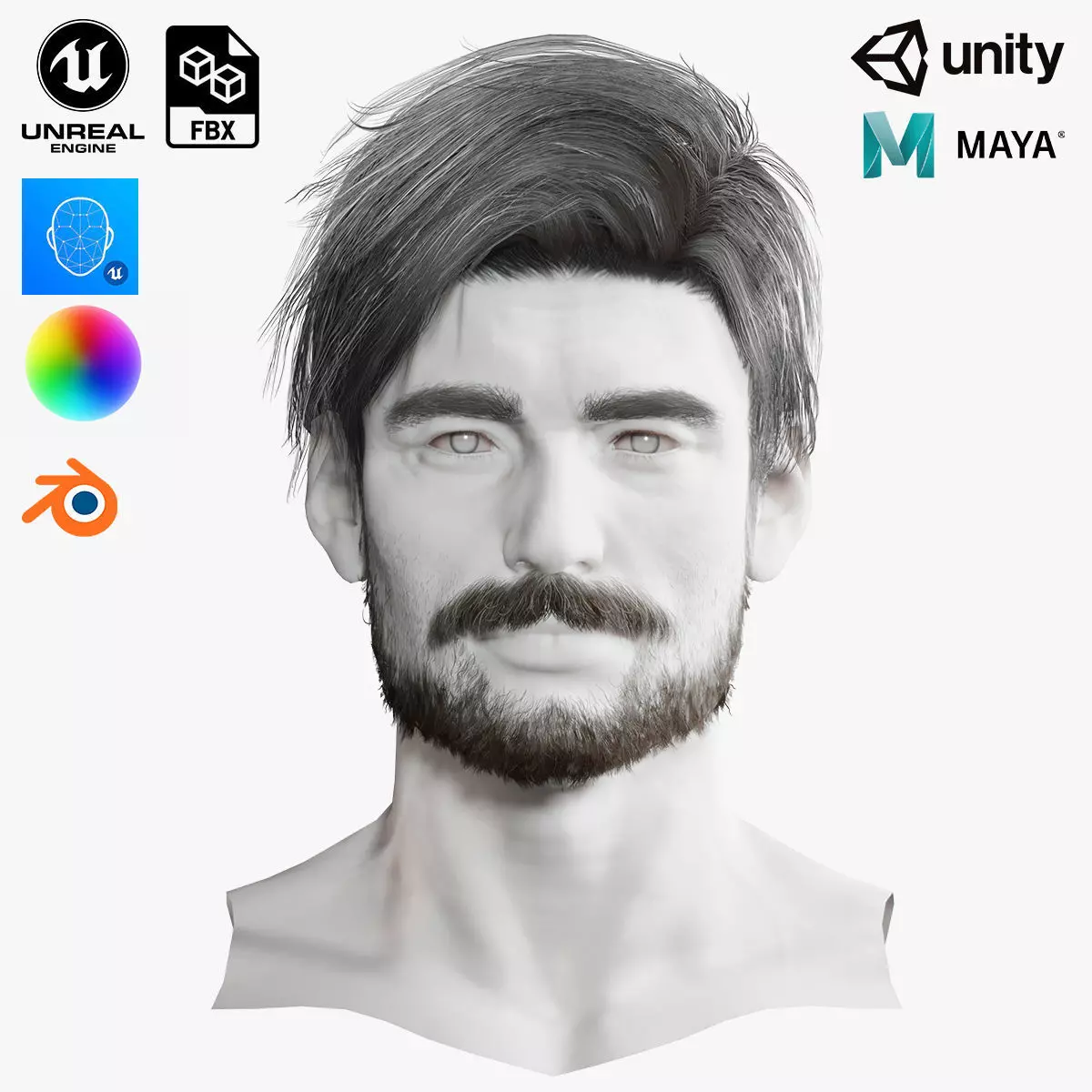 Realistic Hair Beard brows mustache p6 Low-poly 3D model_0
