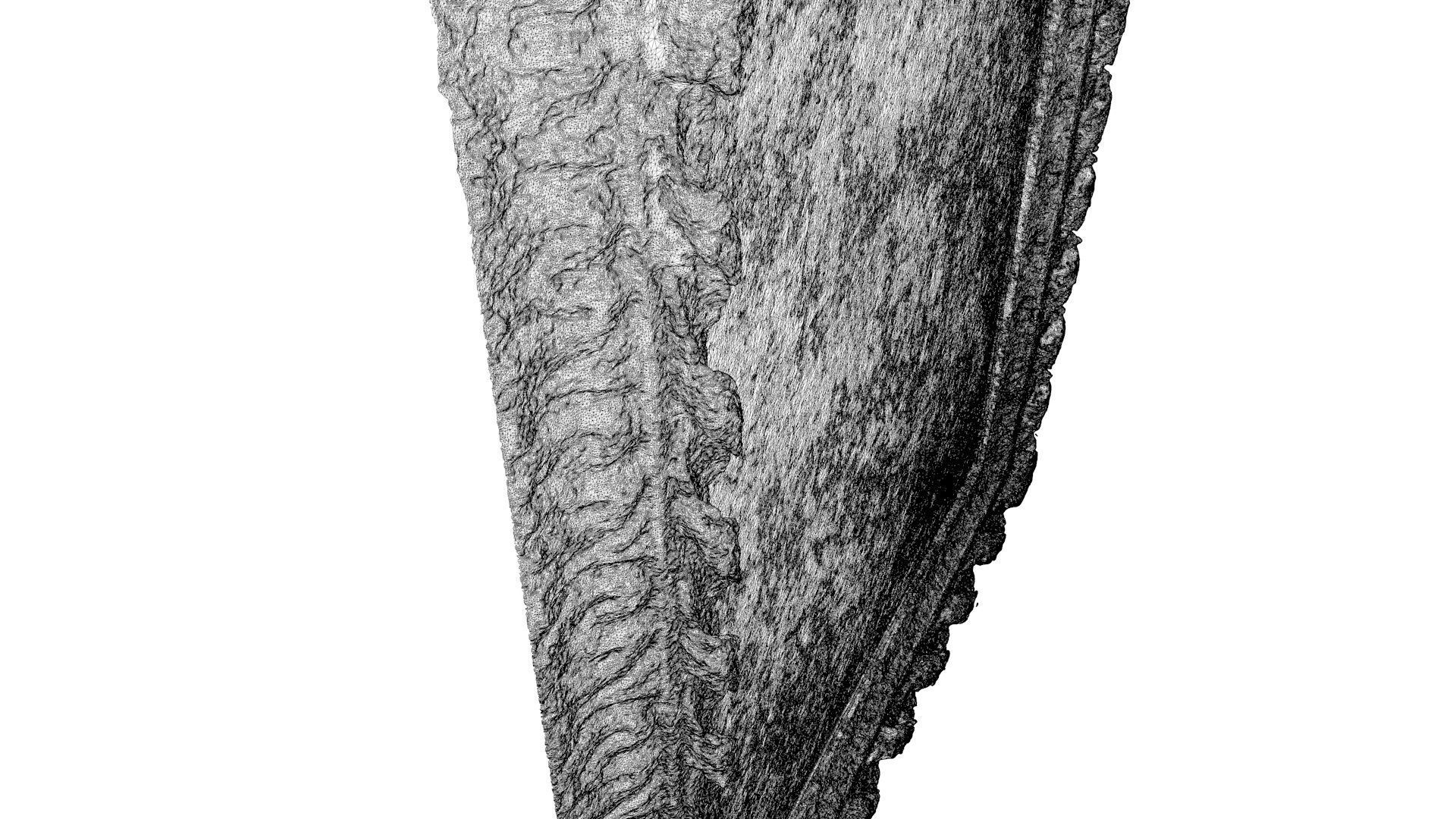 Beef and calf head 3D model_7