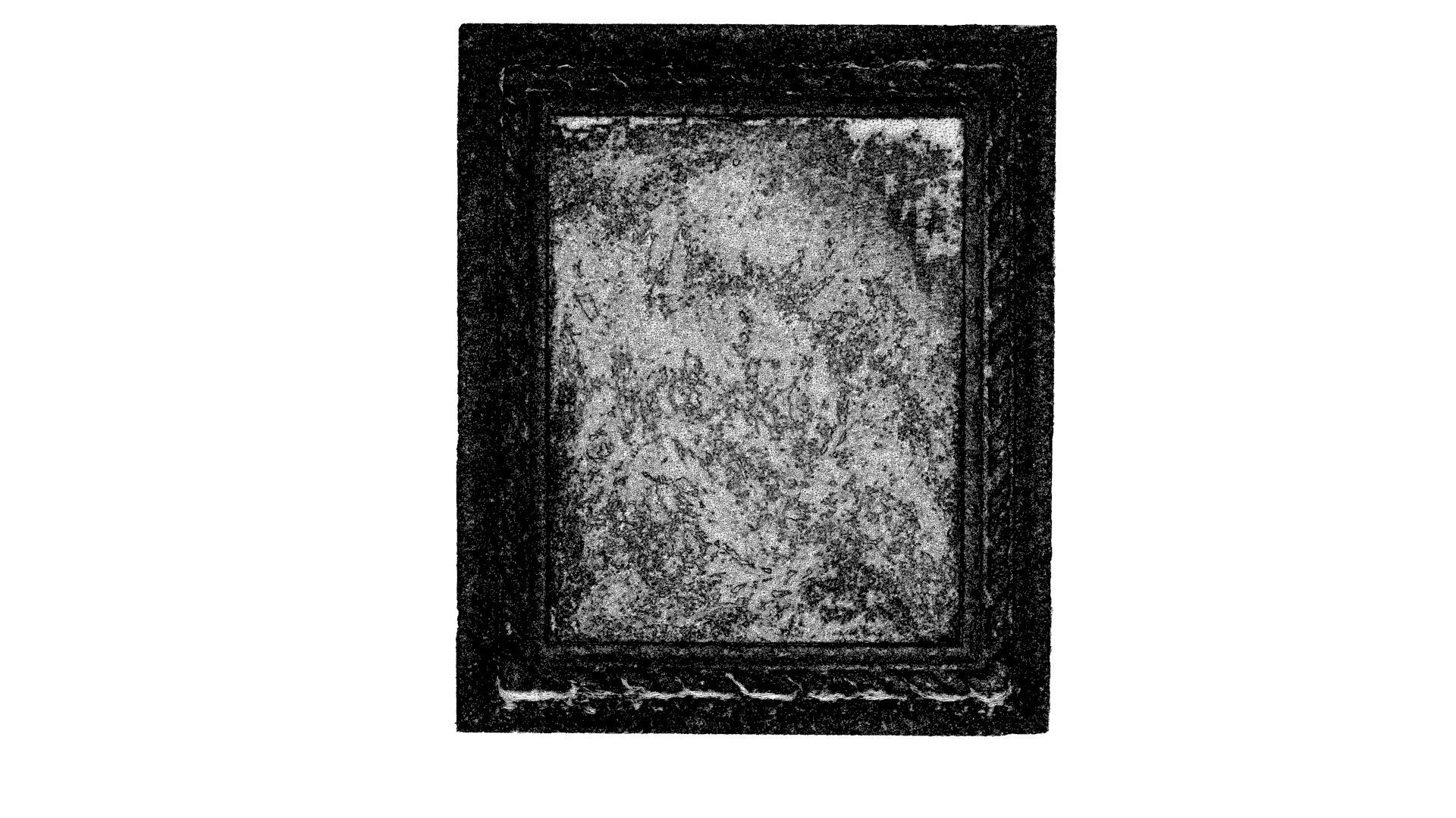 Beef and calf head 3D model_12