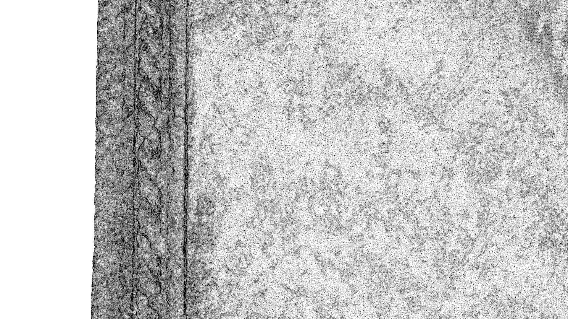 Beef and calf head 3D model_14