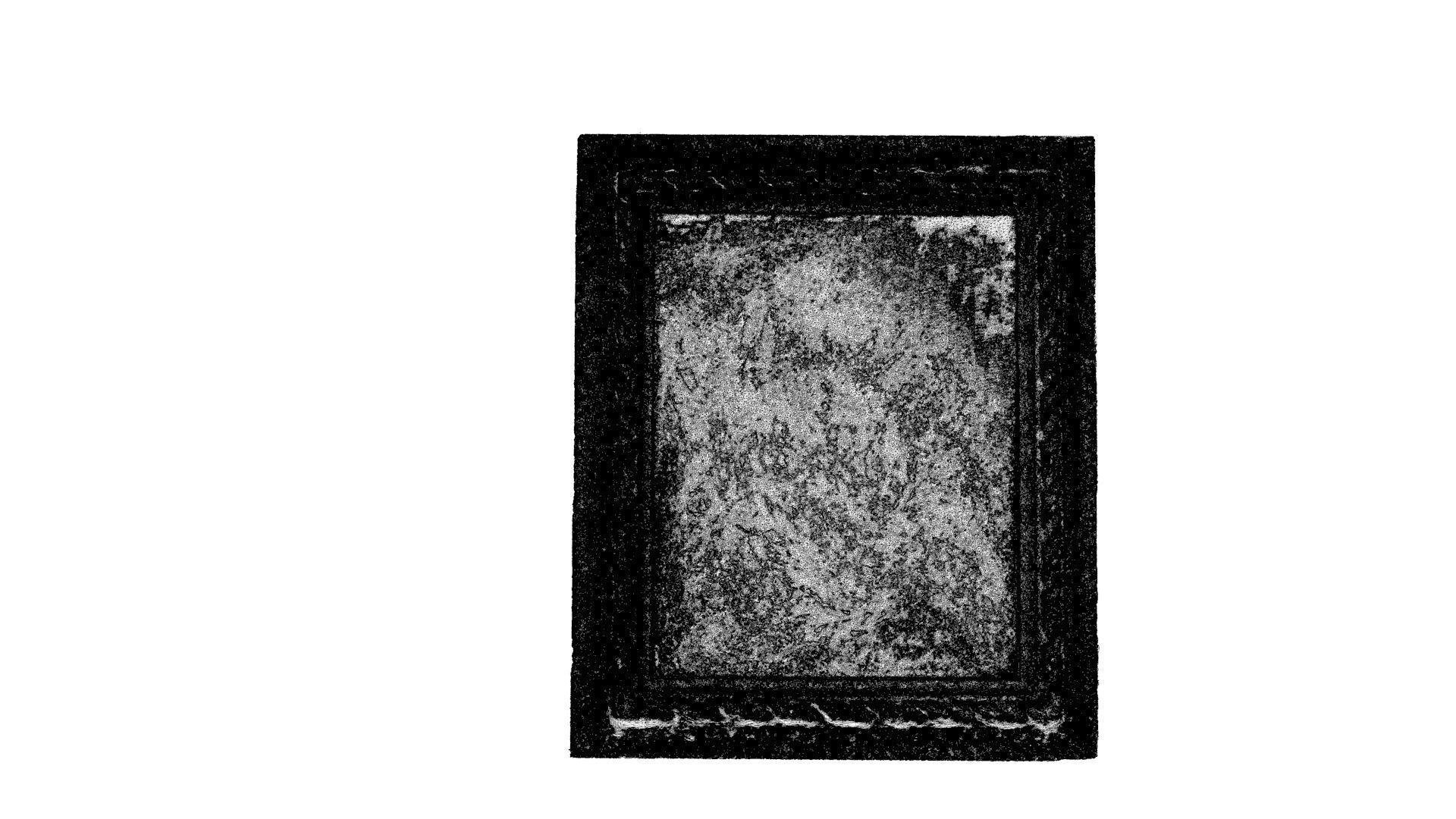 Beef and calf head 3D model_2