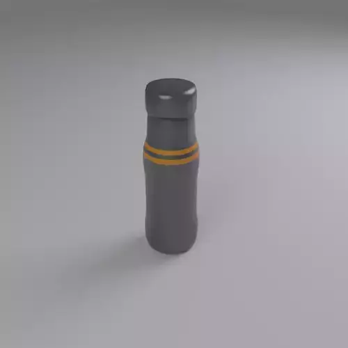 Metal Water Bottle