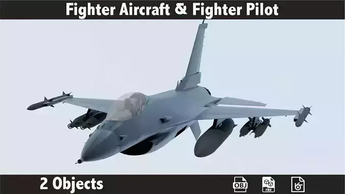 3D Fighter Aircraft and Fighter Pilot