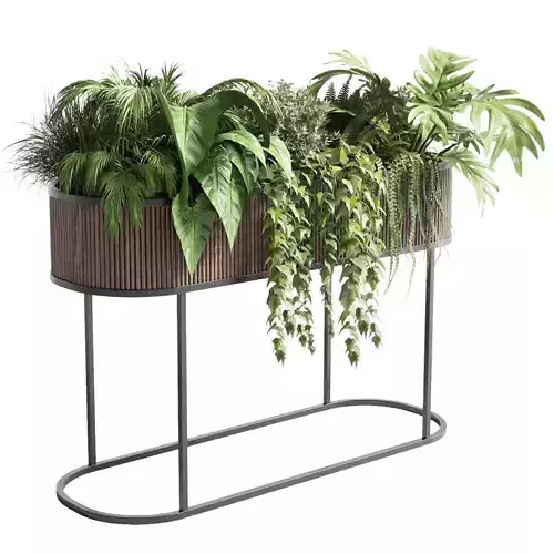 stand plant box set Indoor plant 243 wooden vase pot fern