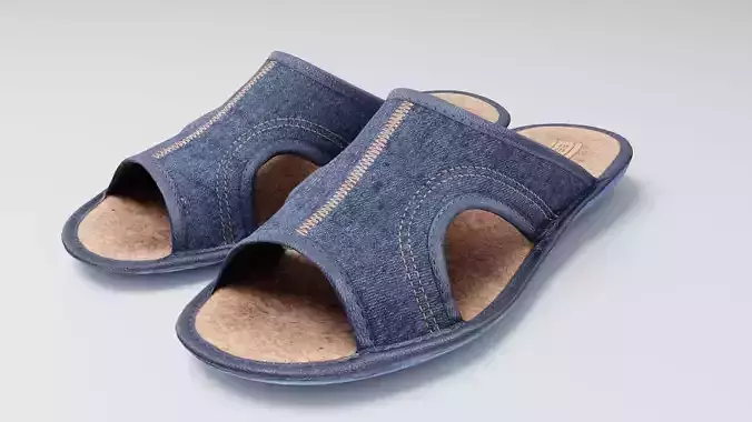 Pair of blue slippers household items