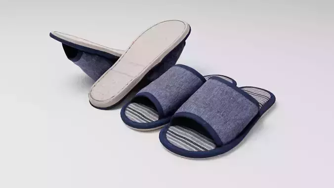 Pair of blue slippers household items