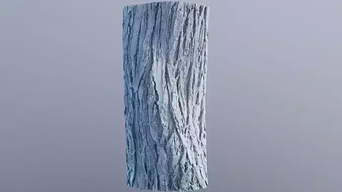 treebark05 tree trunk