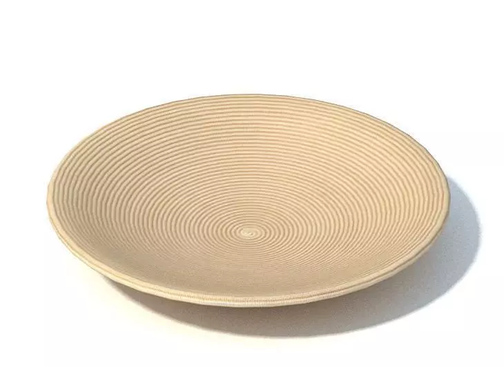 Concave Dish With Concentric Circles 3D model_0