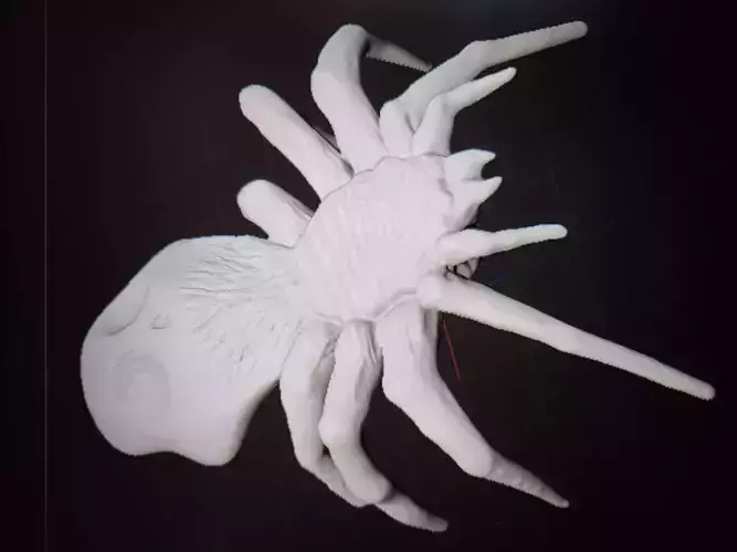 Skull Spider
