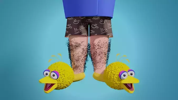 Short and Slippers of big bird