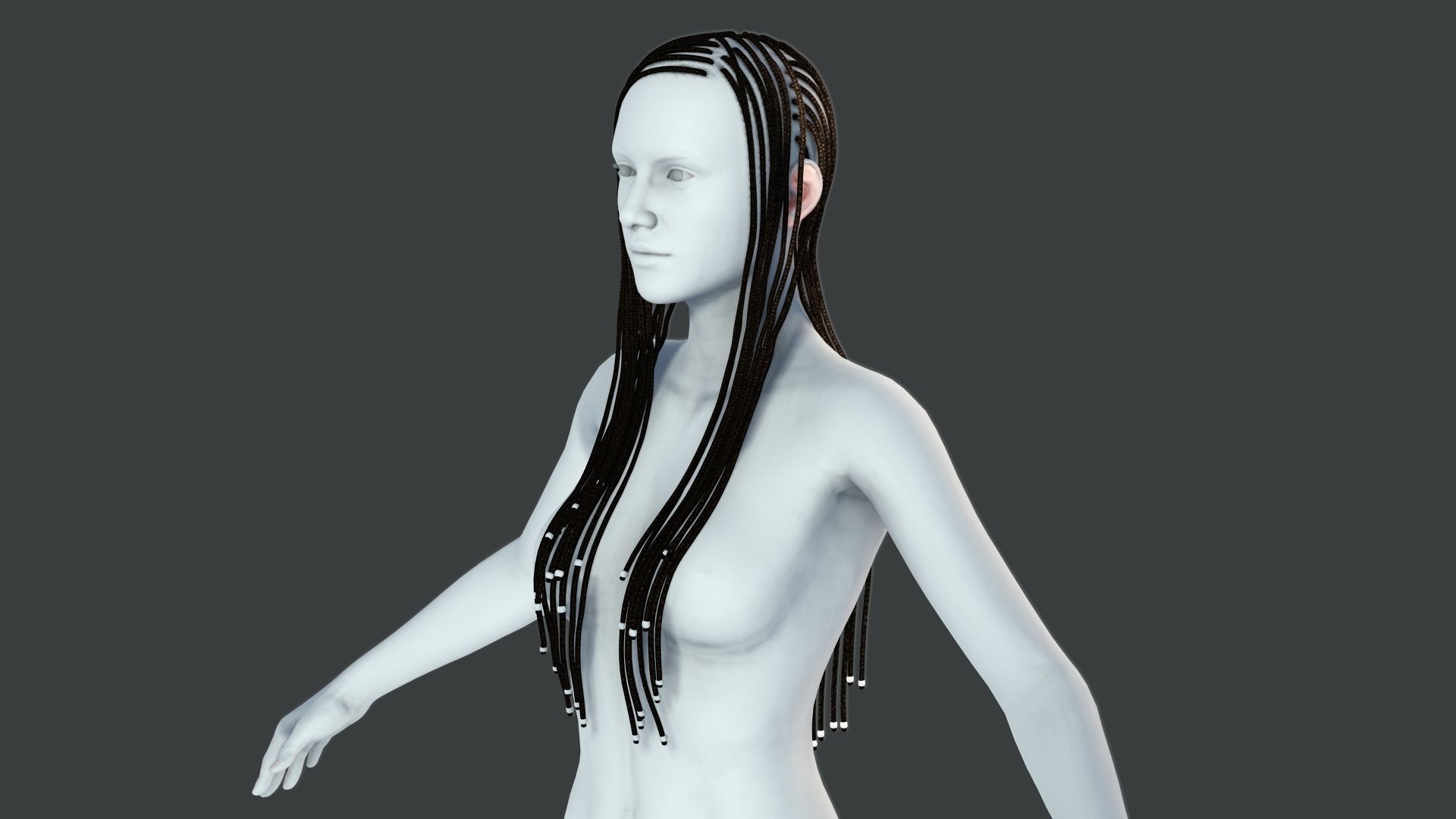 Realistic Braid Hair Rasta Low-poly 3D model_4