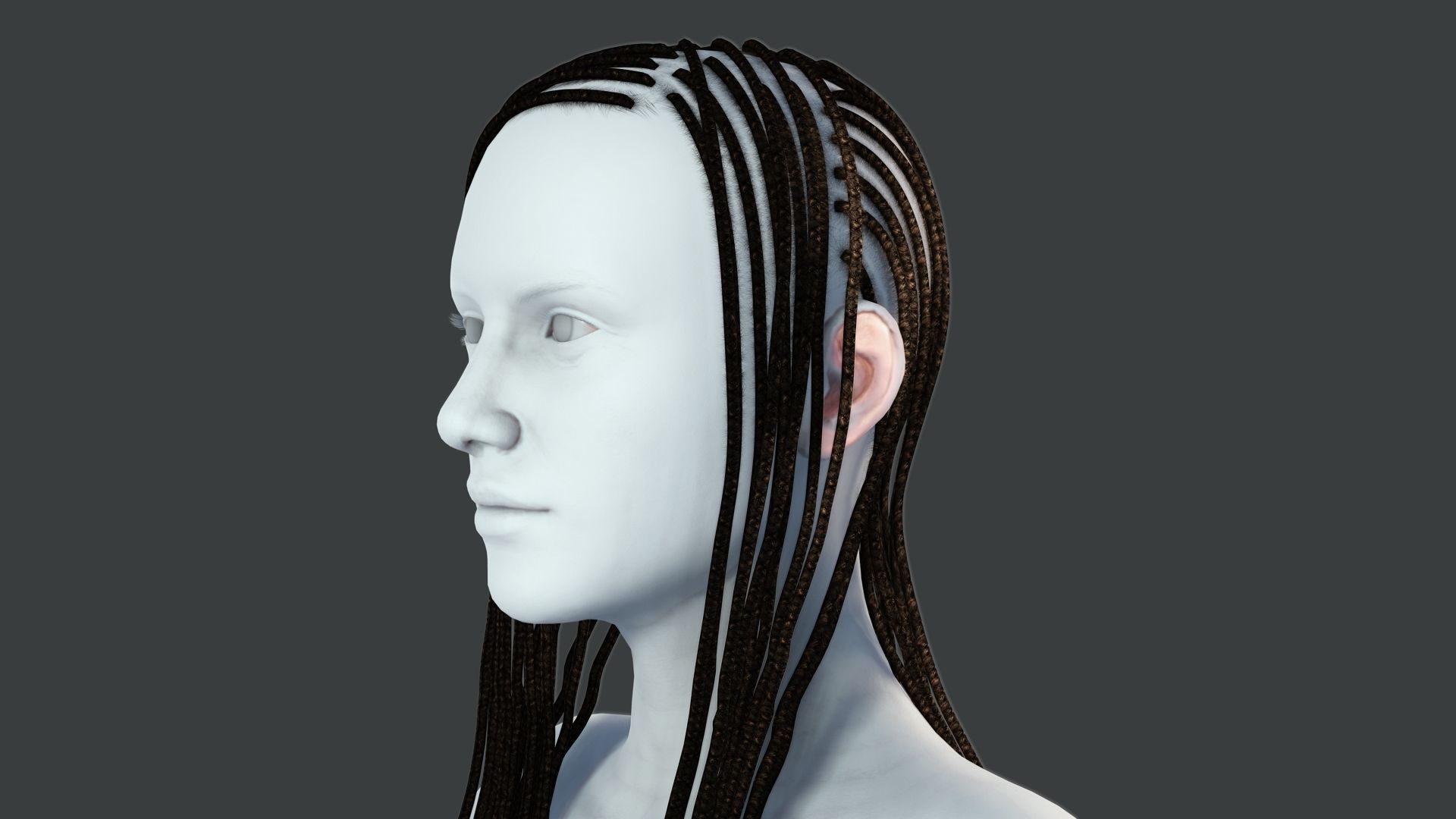 Realistic Braid Hair Rasta Low-poly 3D model_2