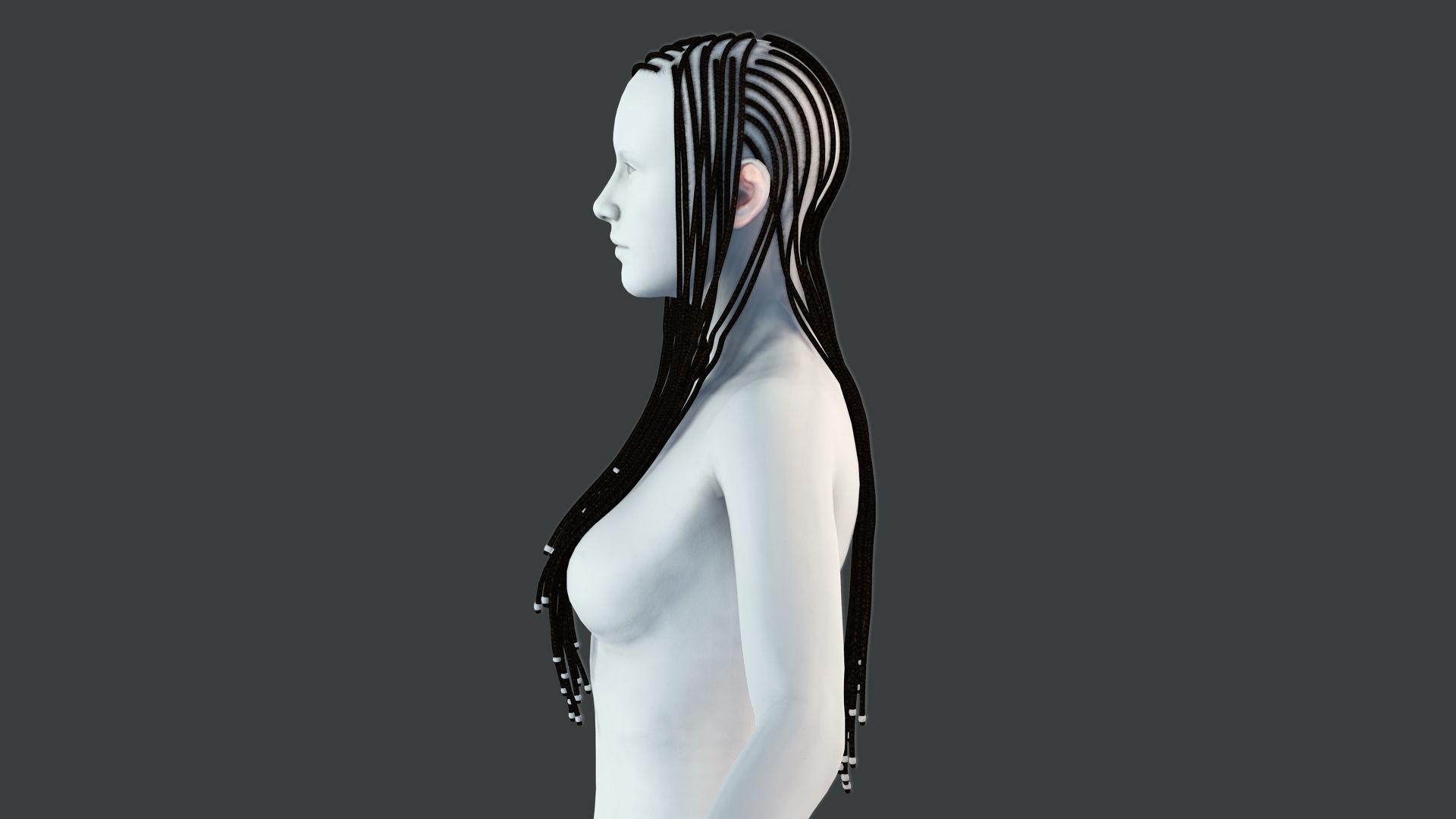 Realistic Braid Hair Rasta Low-poly 3D model_5