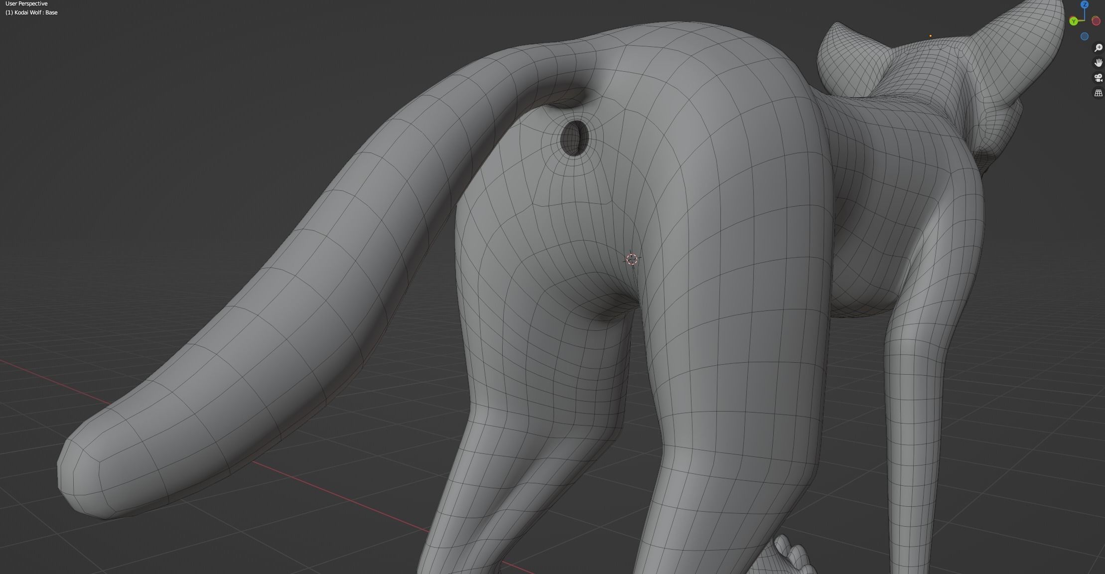 Kodai Wolf 3D model_53