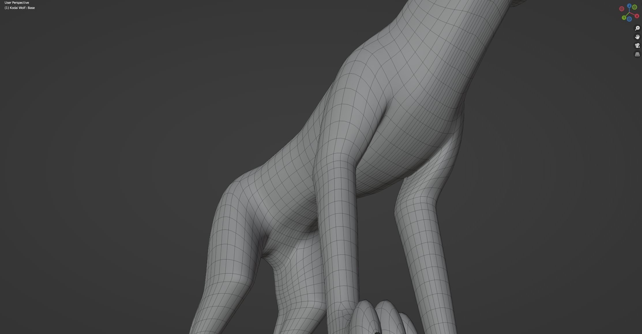Kodai Wolf 3D model_51
