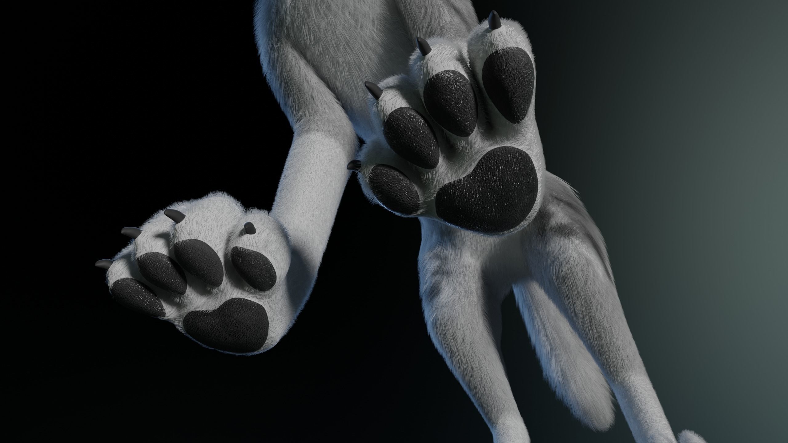 Kodai Wolf 3D model_15