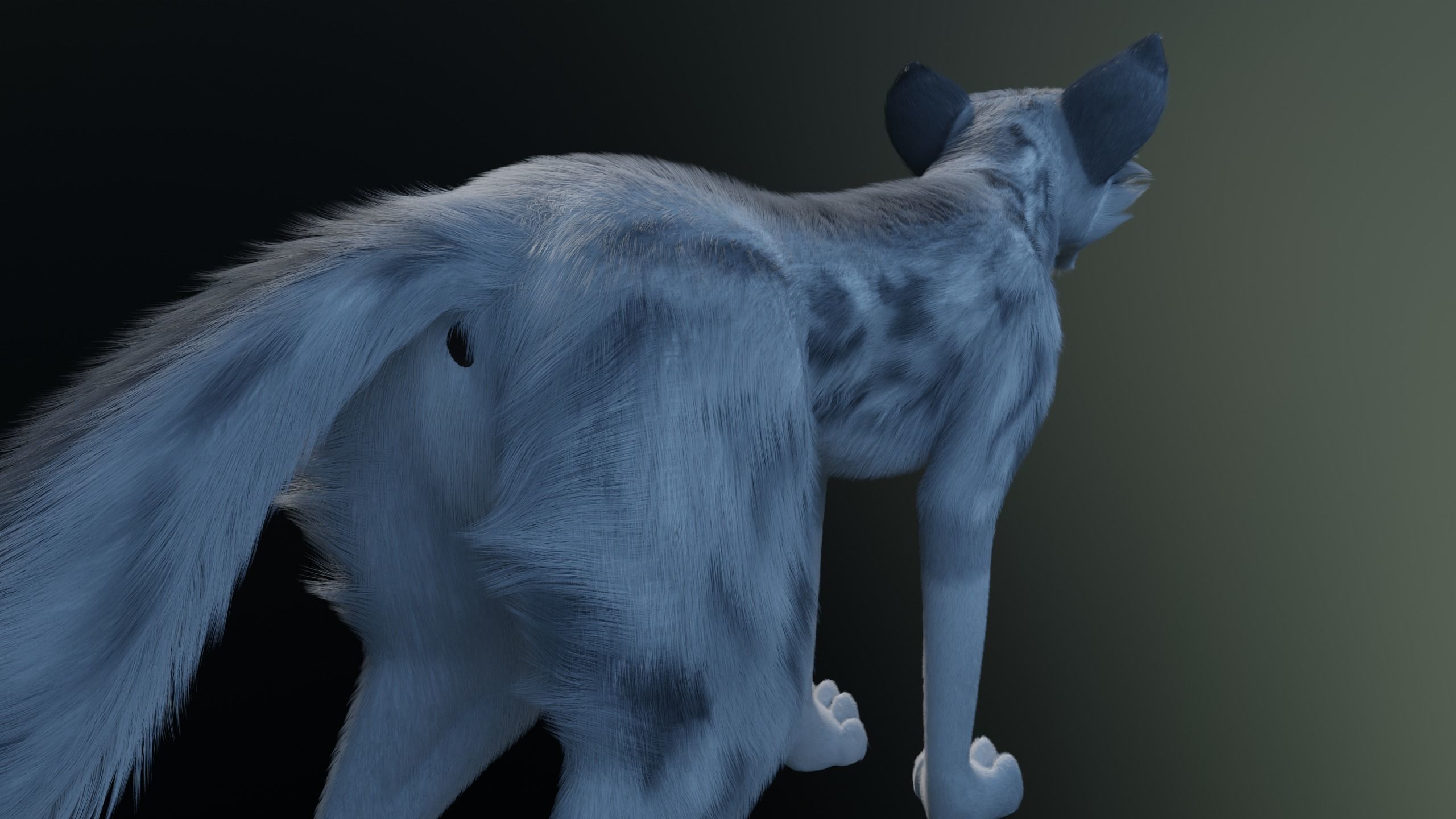 Kodai Wolf 3D model_9