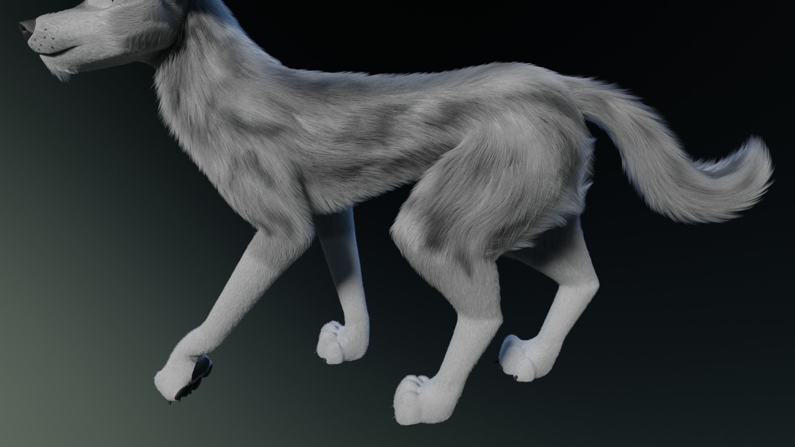 Kodai Wolf 3D model_19