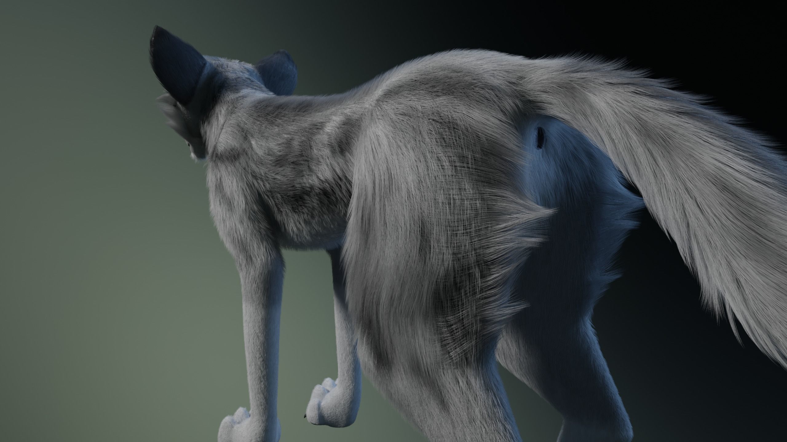 Kodai Wolf 3D model_7