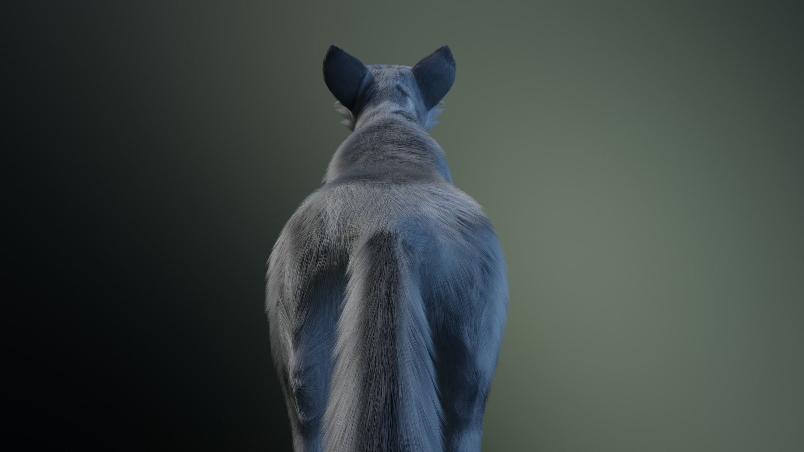 Kodai Wolf 3D model_8