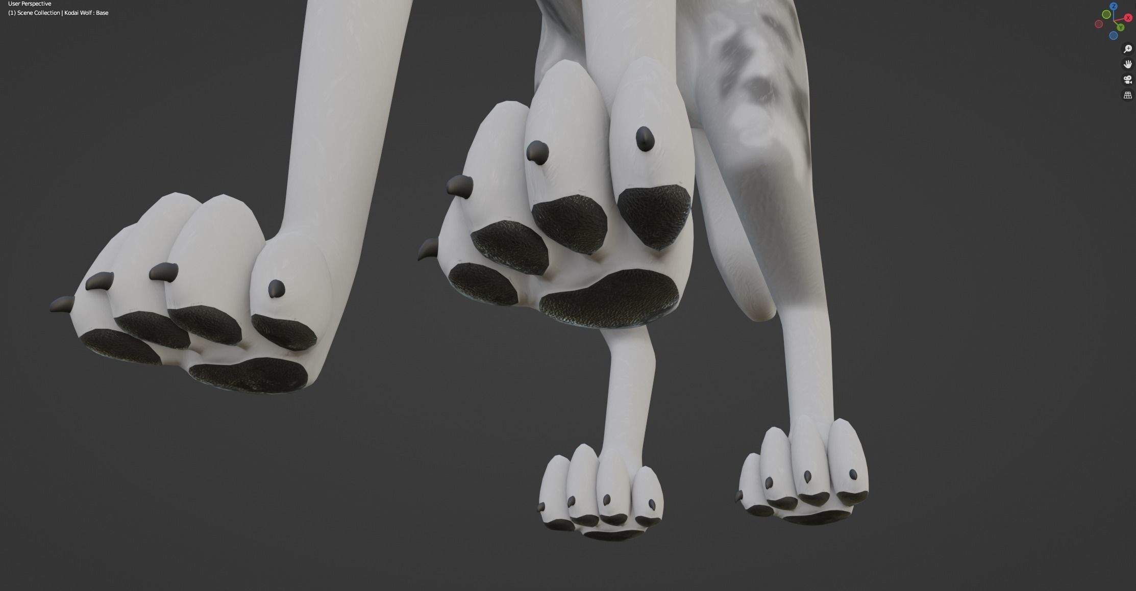 Kodai Wolf 3D model_46