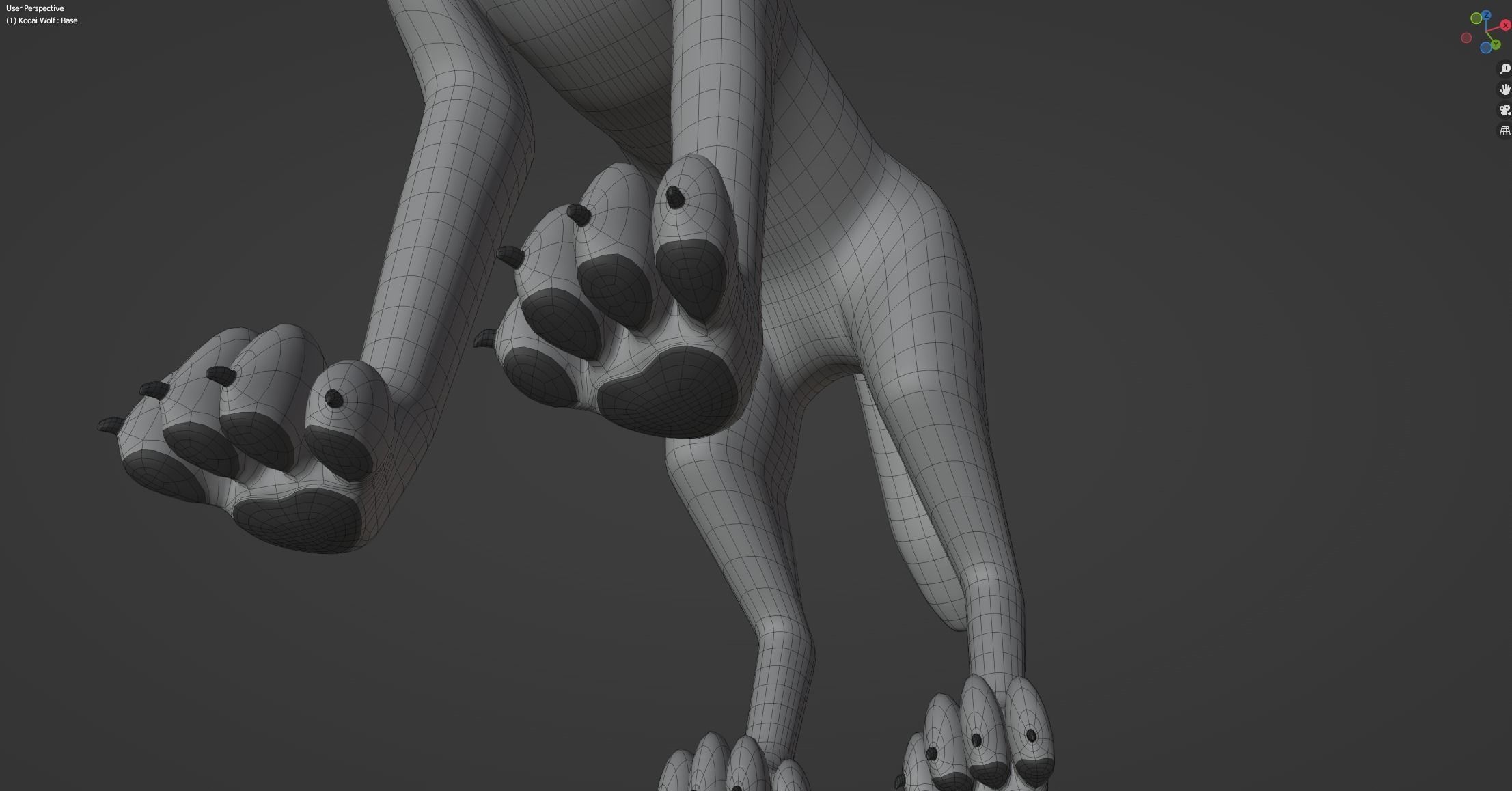 Kodai Wolf 3D model_55