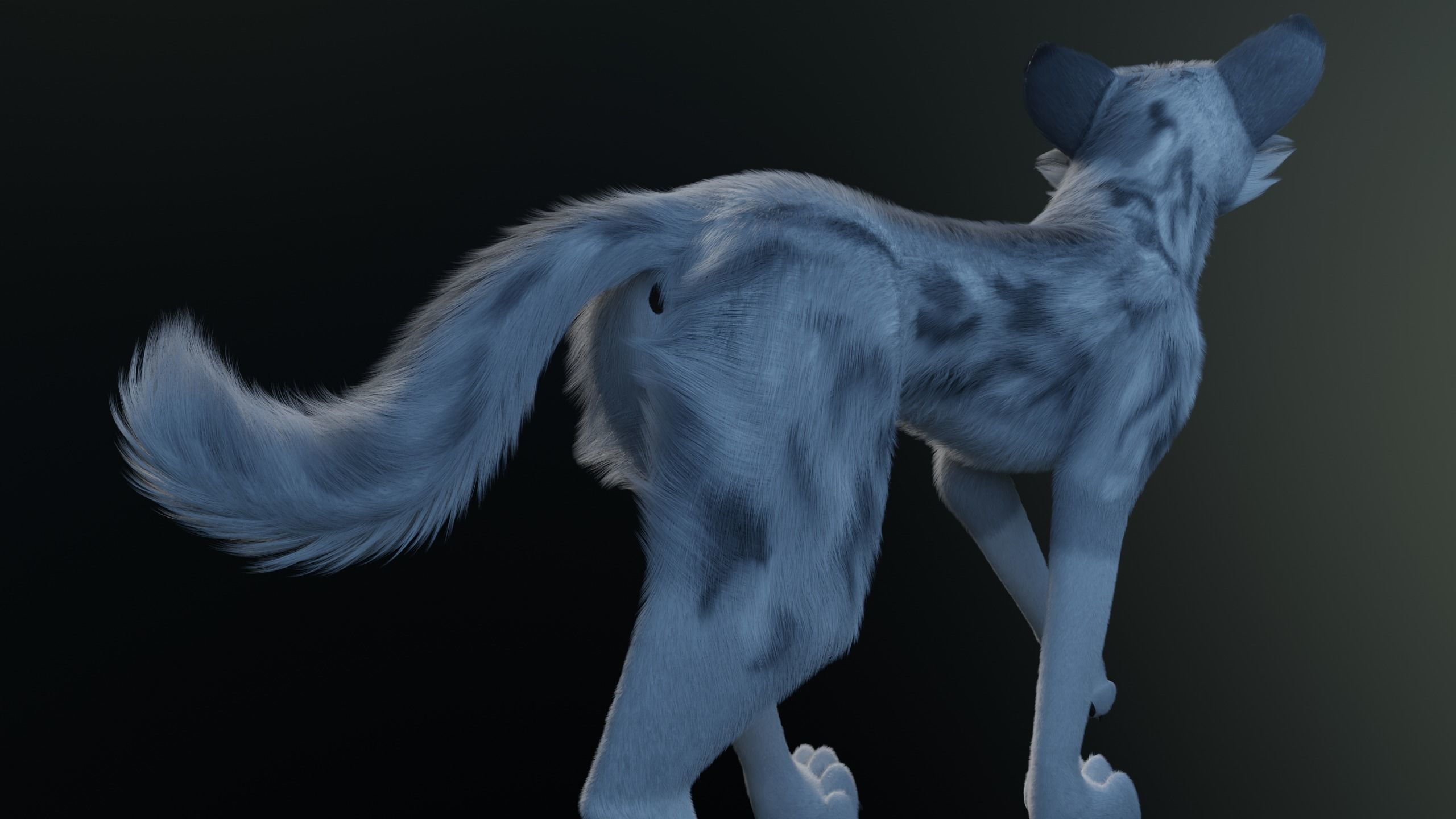 Kodai Wolf 3D model_21