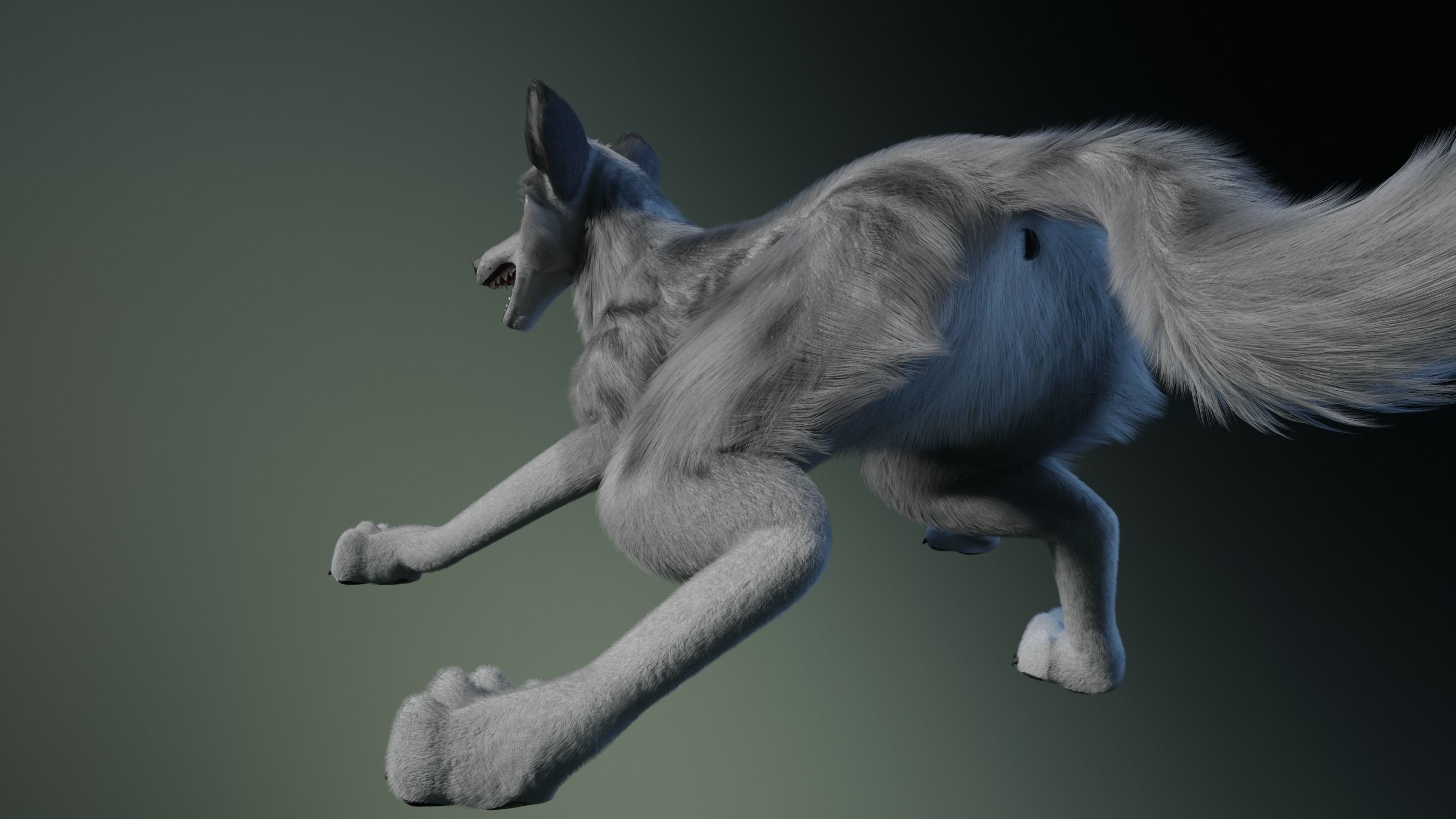 Kodai Wolf 3D model_24