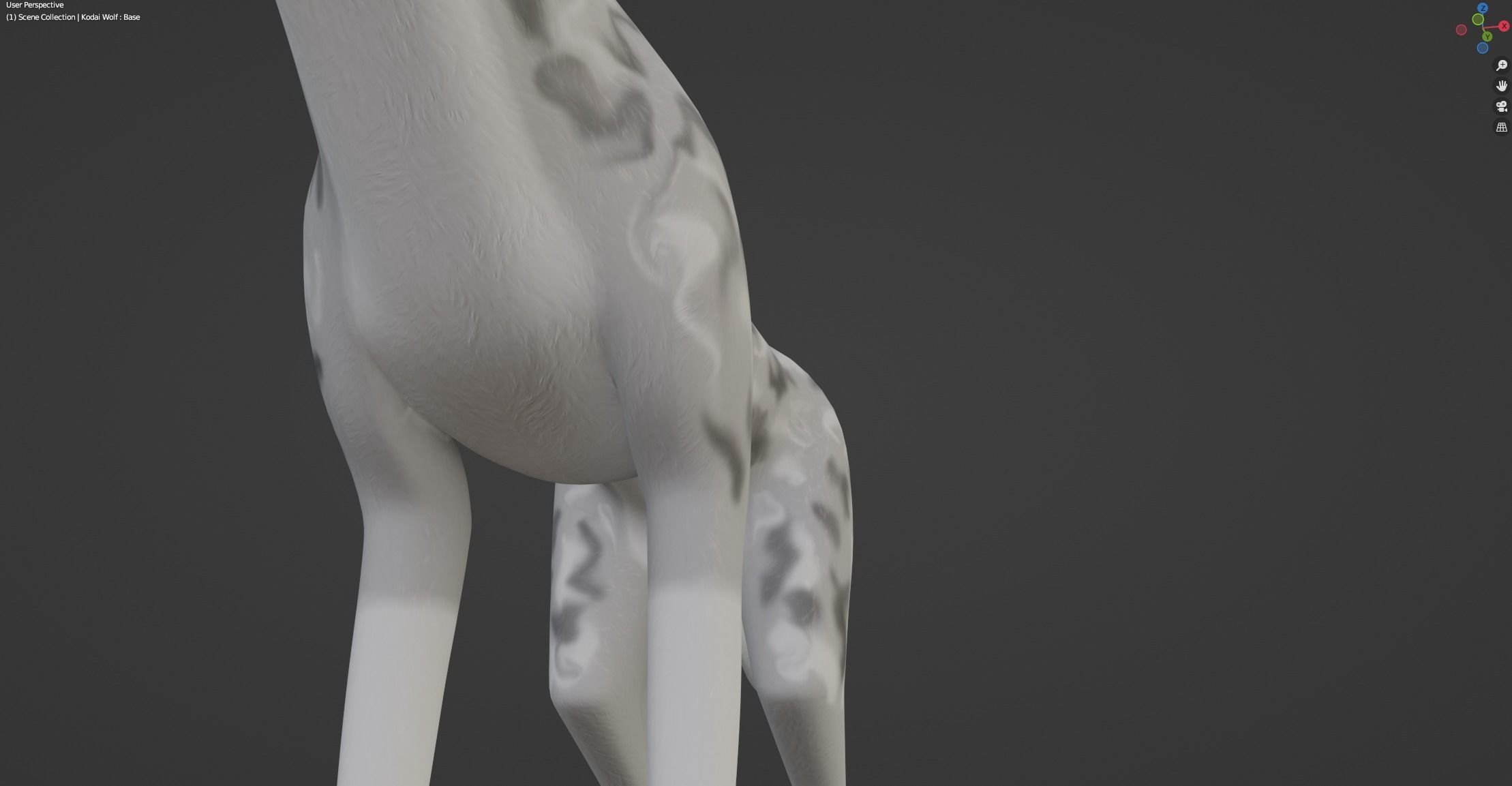 Kodai Wolf 3D model_44