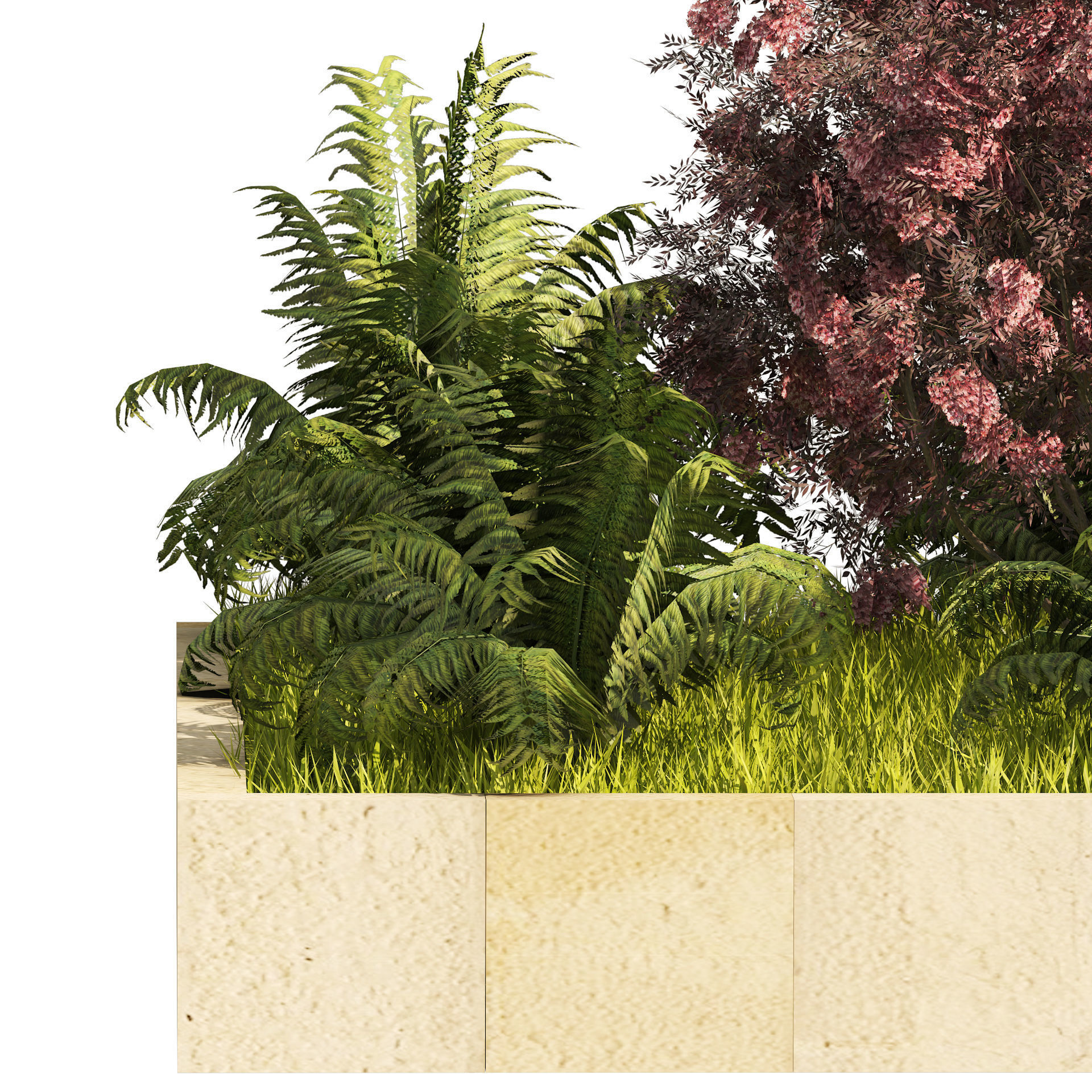 garden border plant set Low-poly 3D model_3