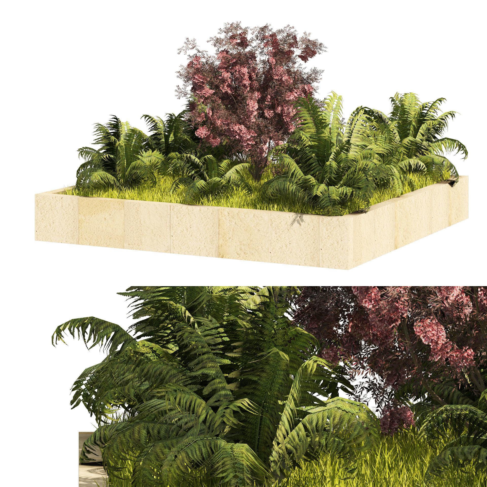garden border plant set Low-poly 3D model_1