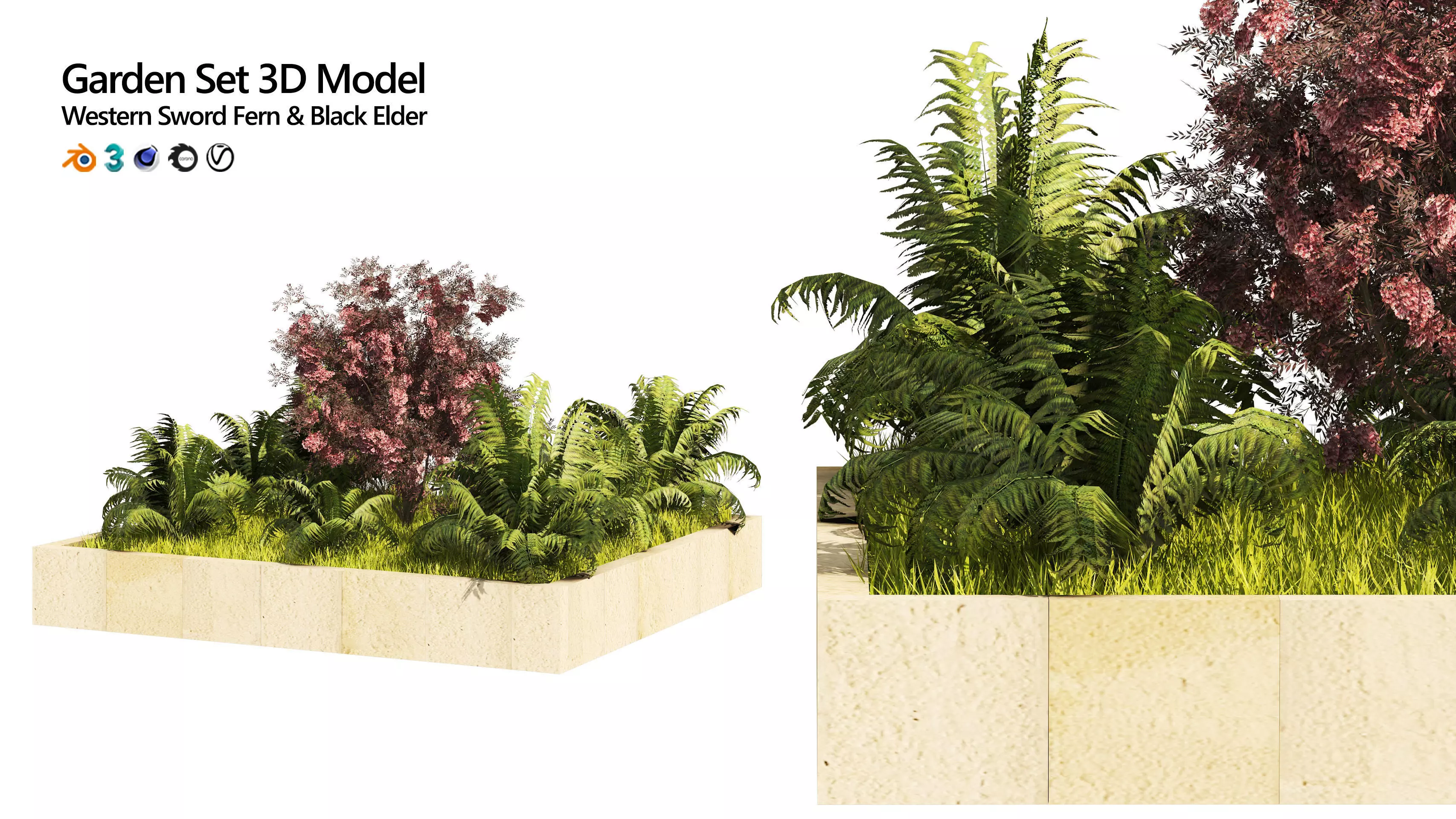 garden border plant set Low-poly 3D model_0