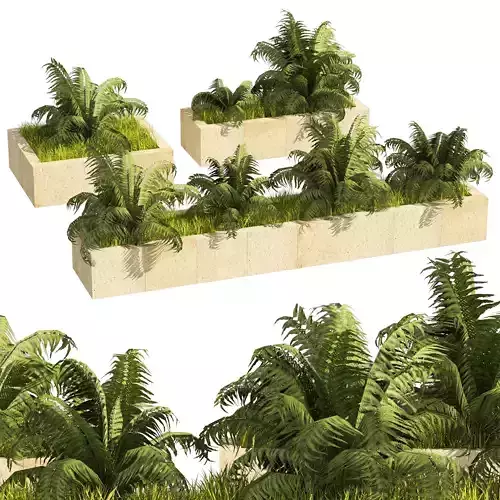 3 Street swordfern border plant Low-poly 3D model