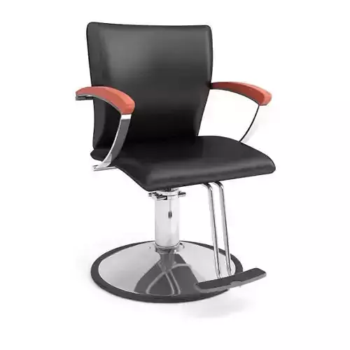 Black Beauty Parlor Chair