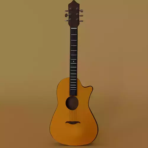 Acoustic  Guitar 