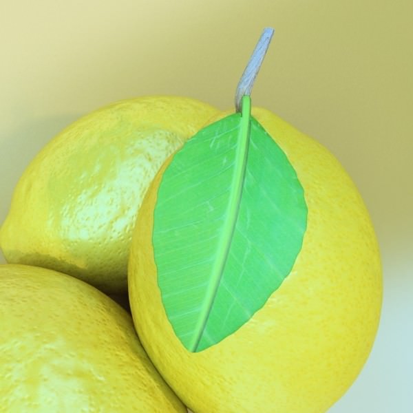 Lemons in Decorative Metal Wire Container 3D model_14