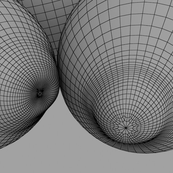 Lemons in Decorative Metal Wire Container 3D model_18