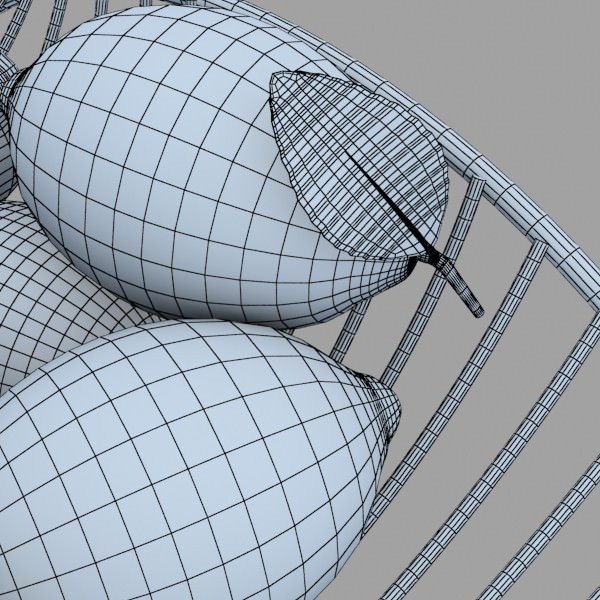 Lemons in Decorative Metal Wire Container 3D model_8