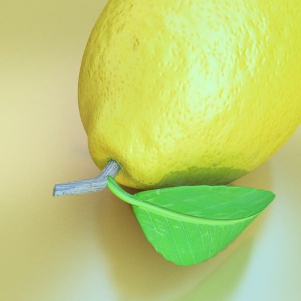 Lemons in Decorative Metal Wire Container 3D model_9