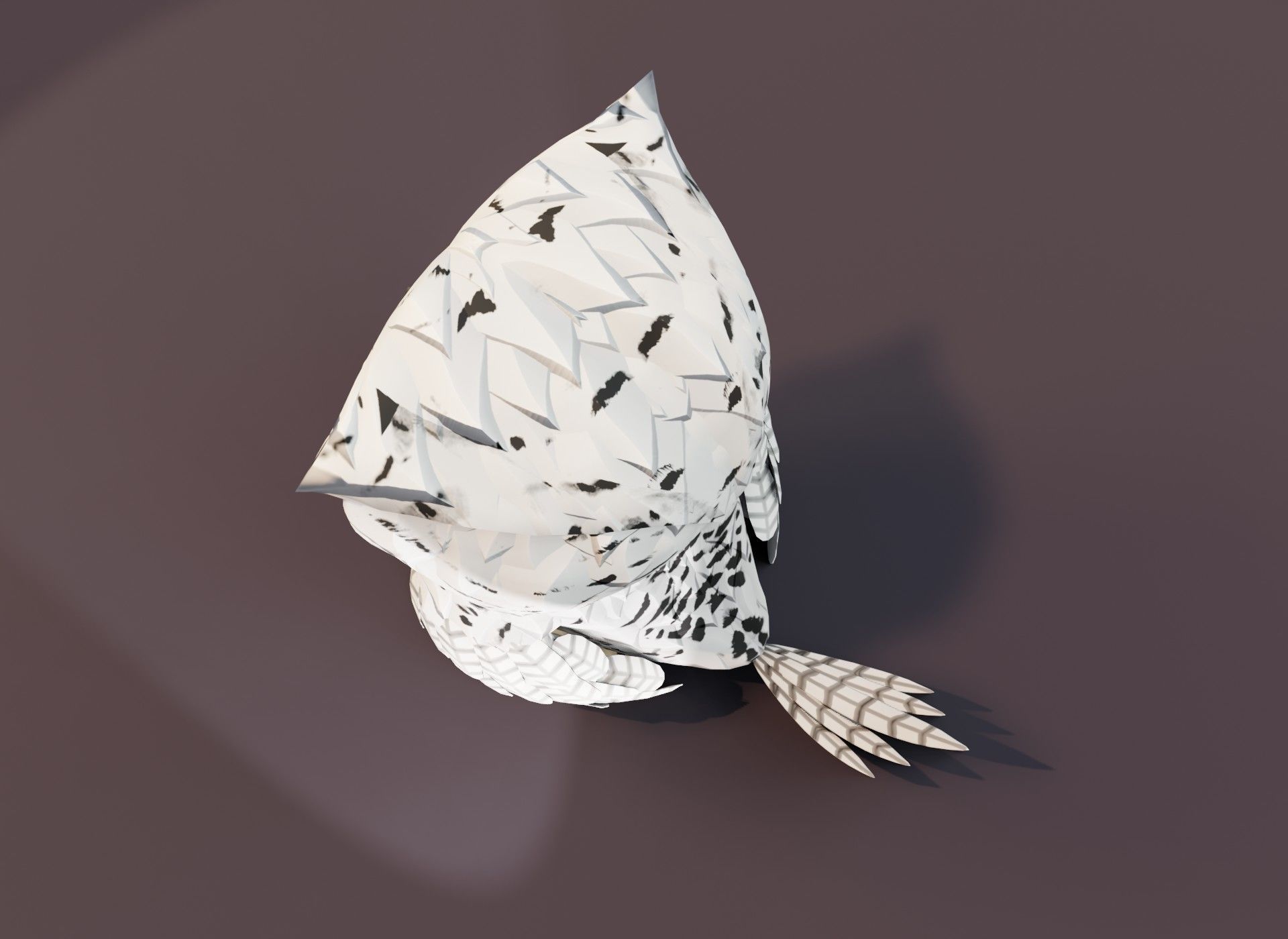 Cartoon Owl 3D Model Collection _54