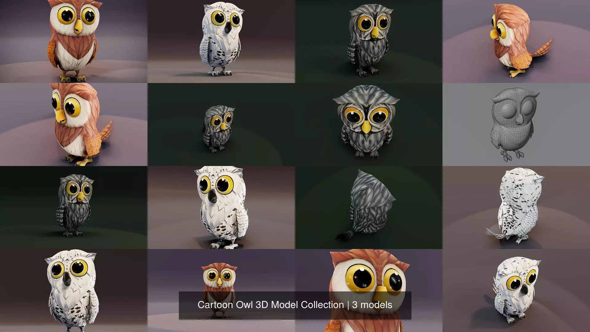 Cartoon Owl 3D Model Collection _4