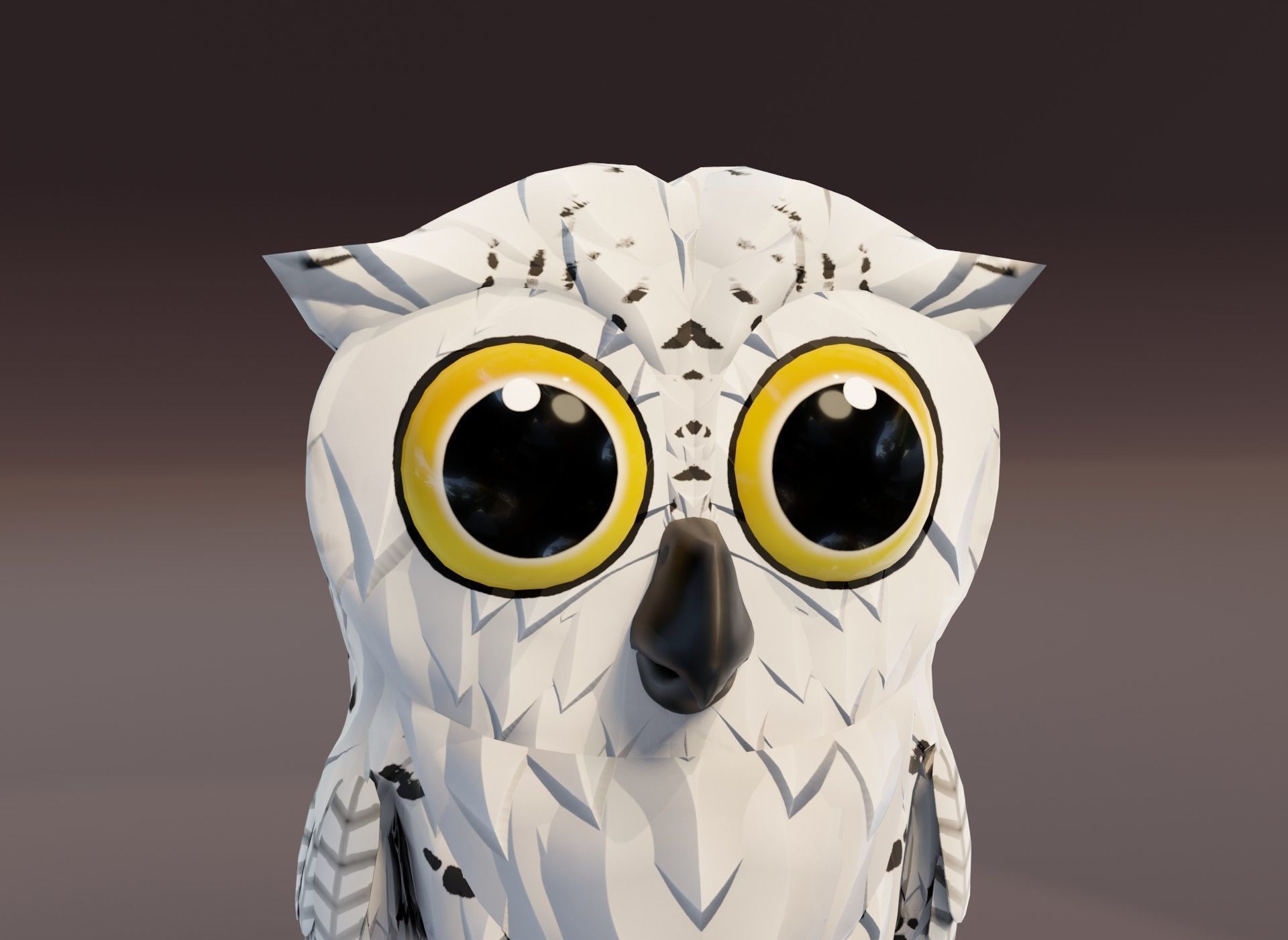 Cartoon Owl 3D Model Collection _49