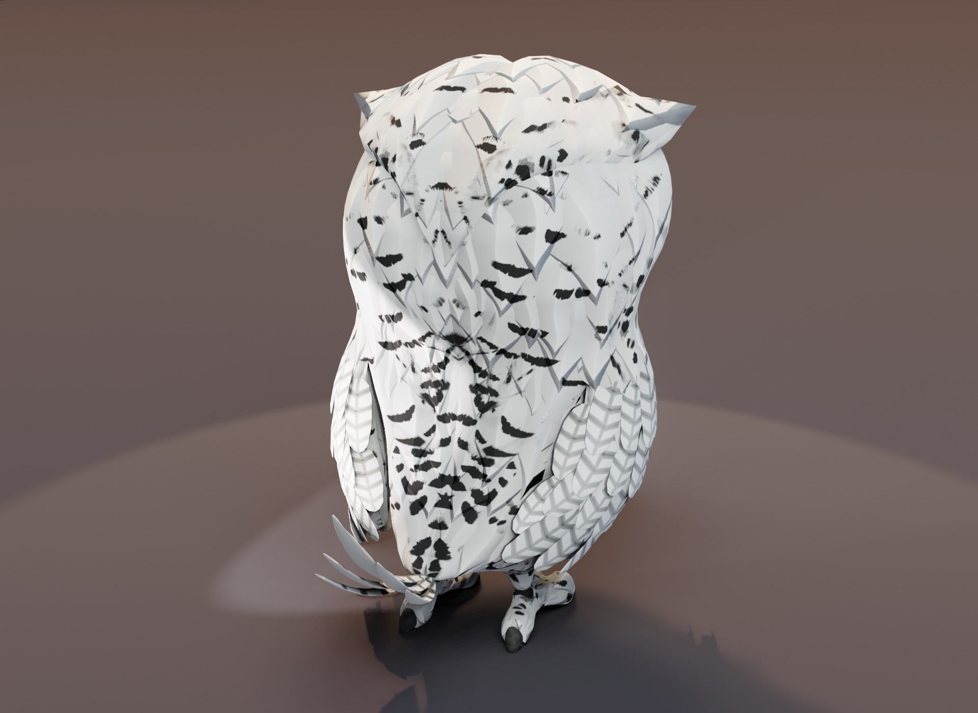 Cartoon Owl 3D Model Collection _33