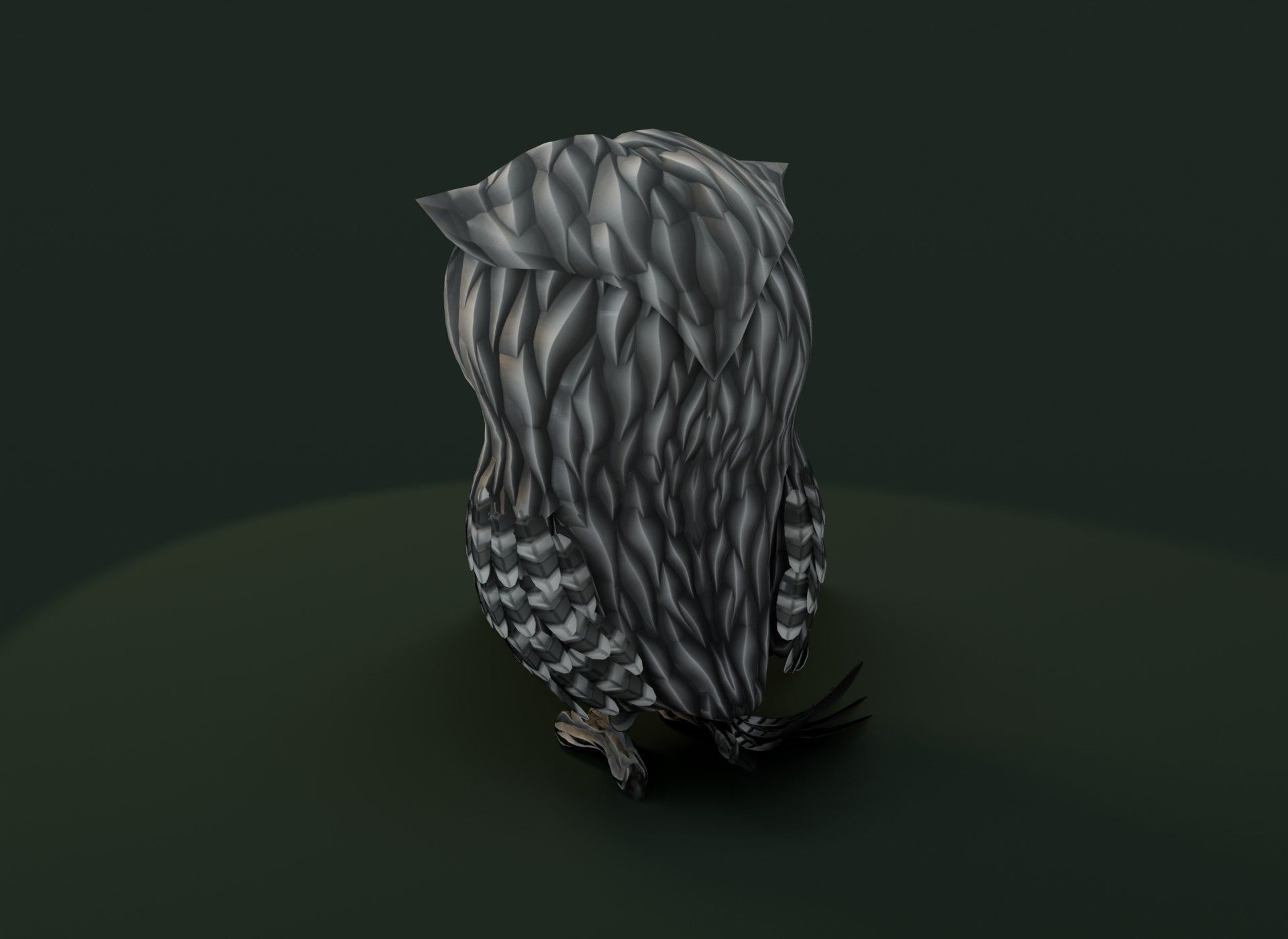 Cartoon Owl 3D Model Collection _22