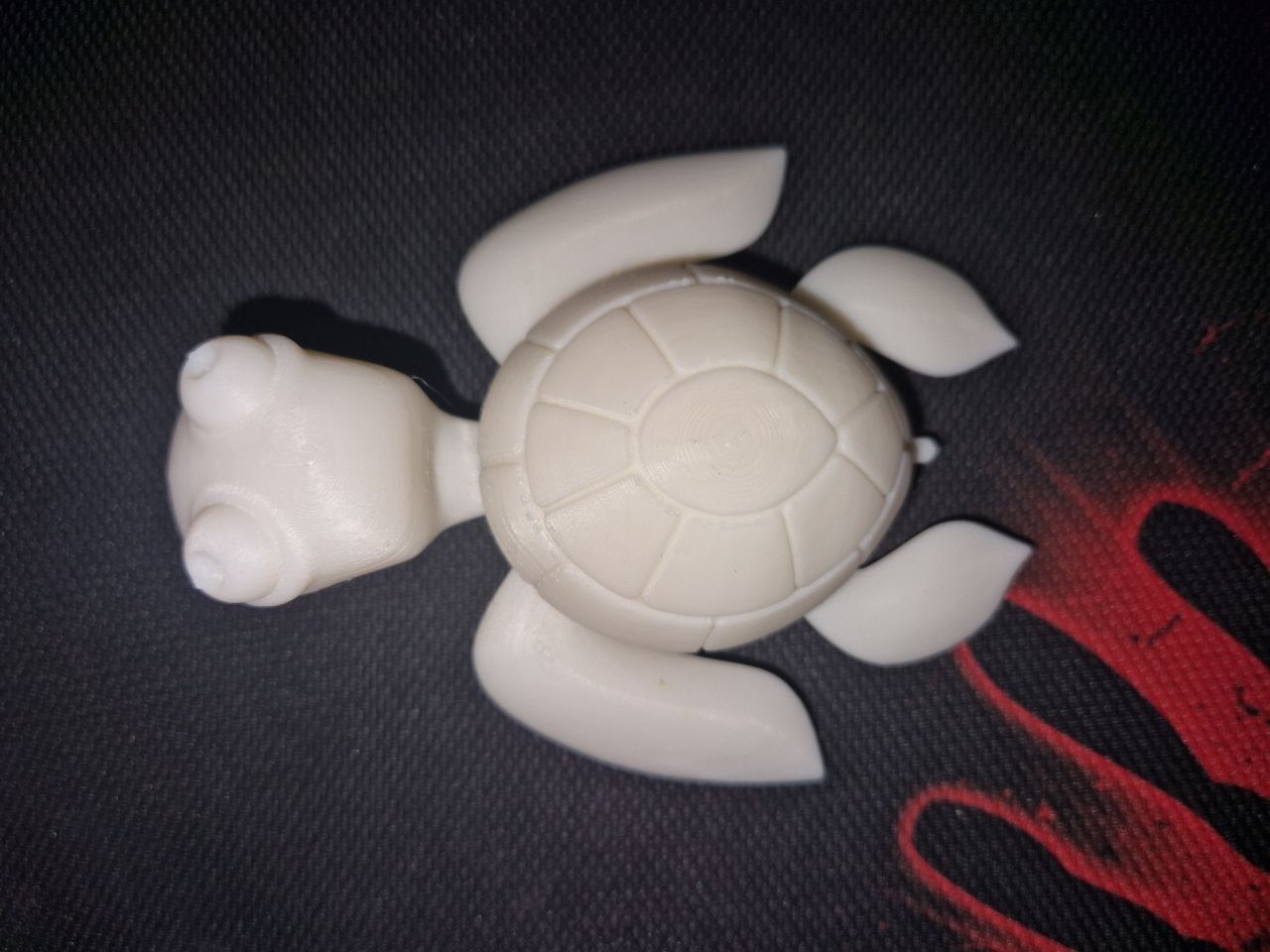Turtle - Toto 3D print model_4