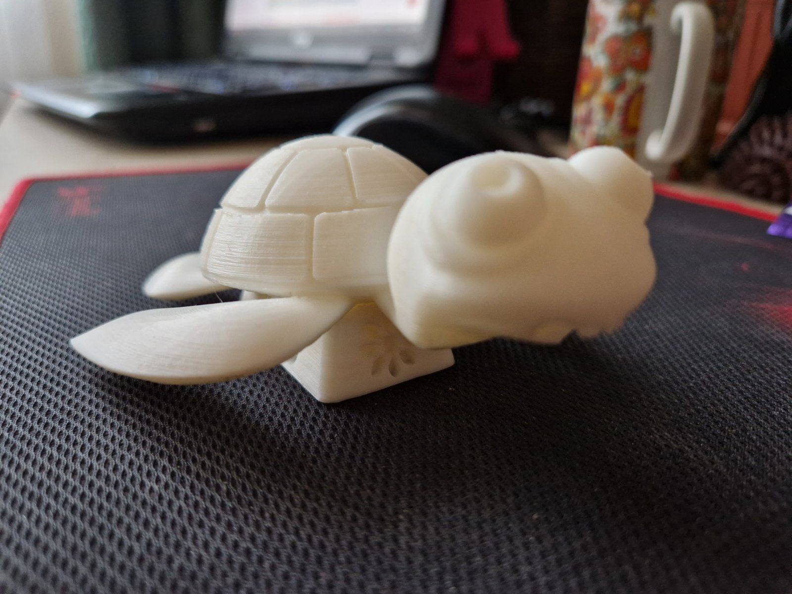 Turtle - Toto 3D print model_1