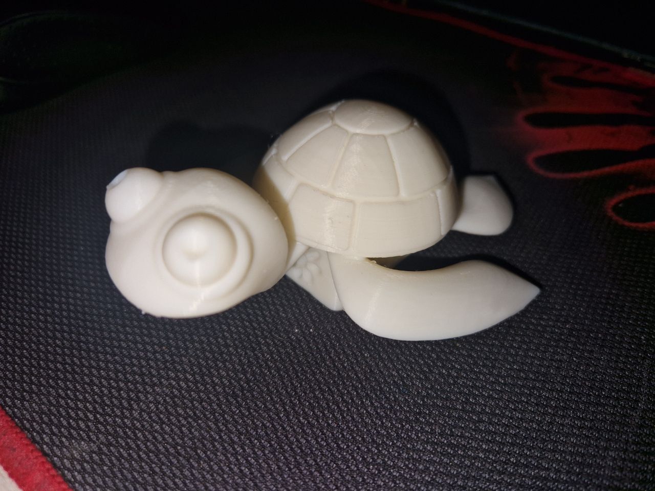 Turtle - Toto 3D print model_3
