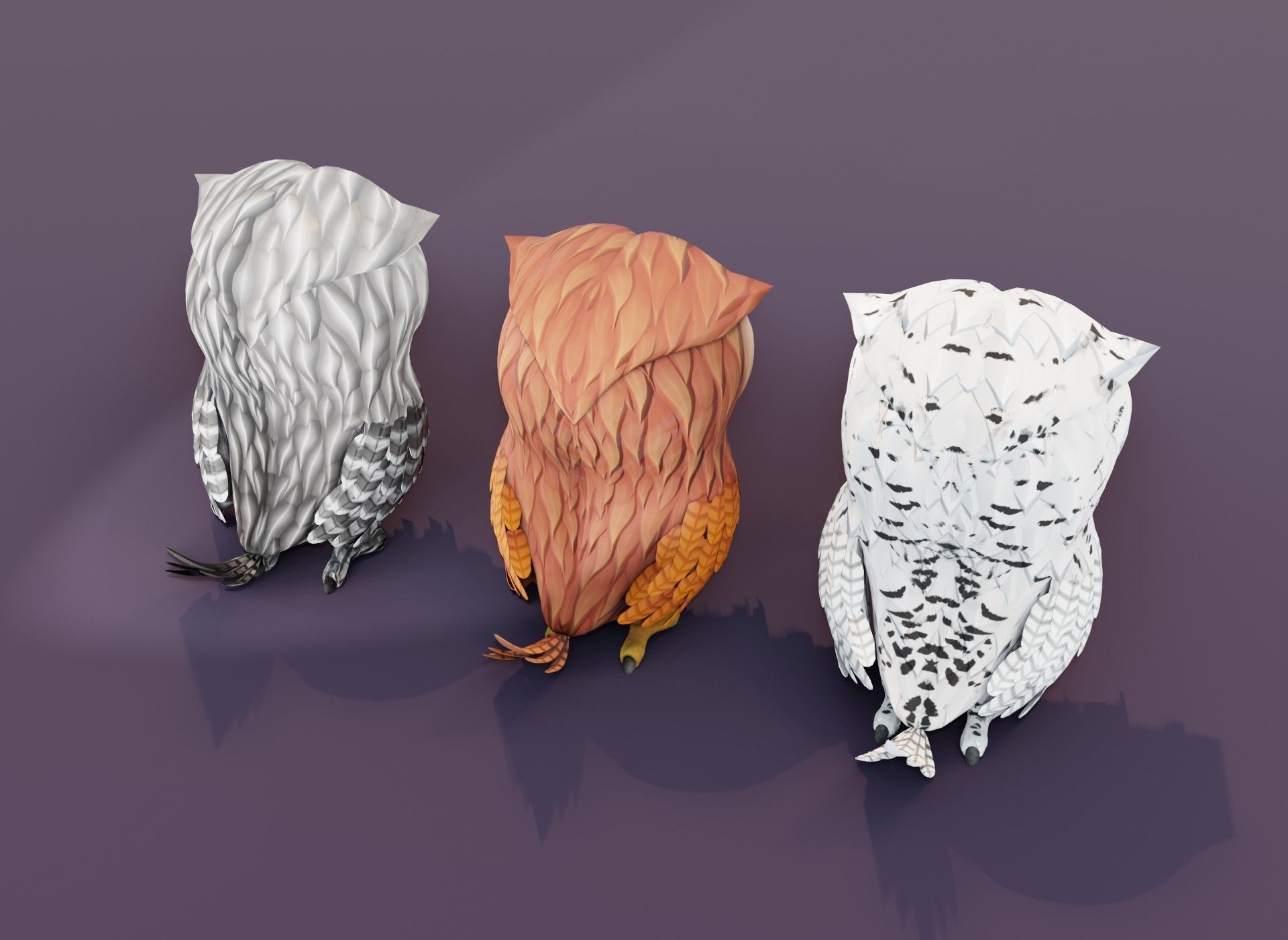 Cartoon Owl Animated 3D Model Collection _4