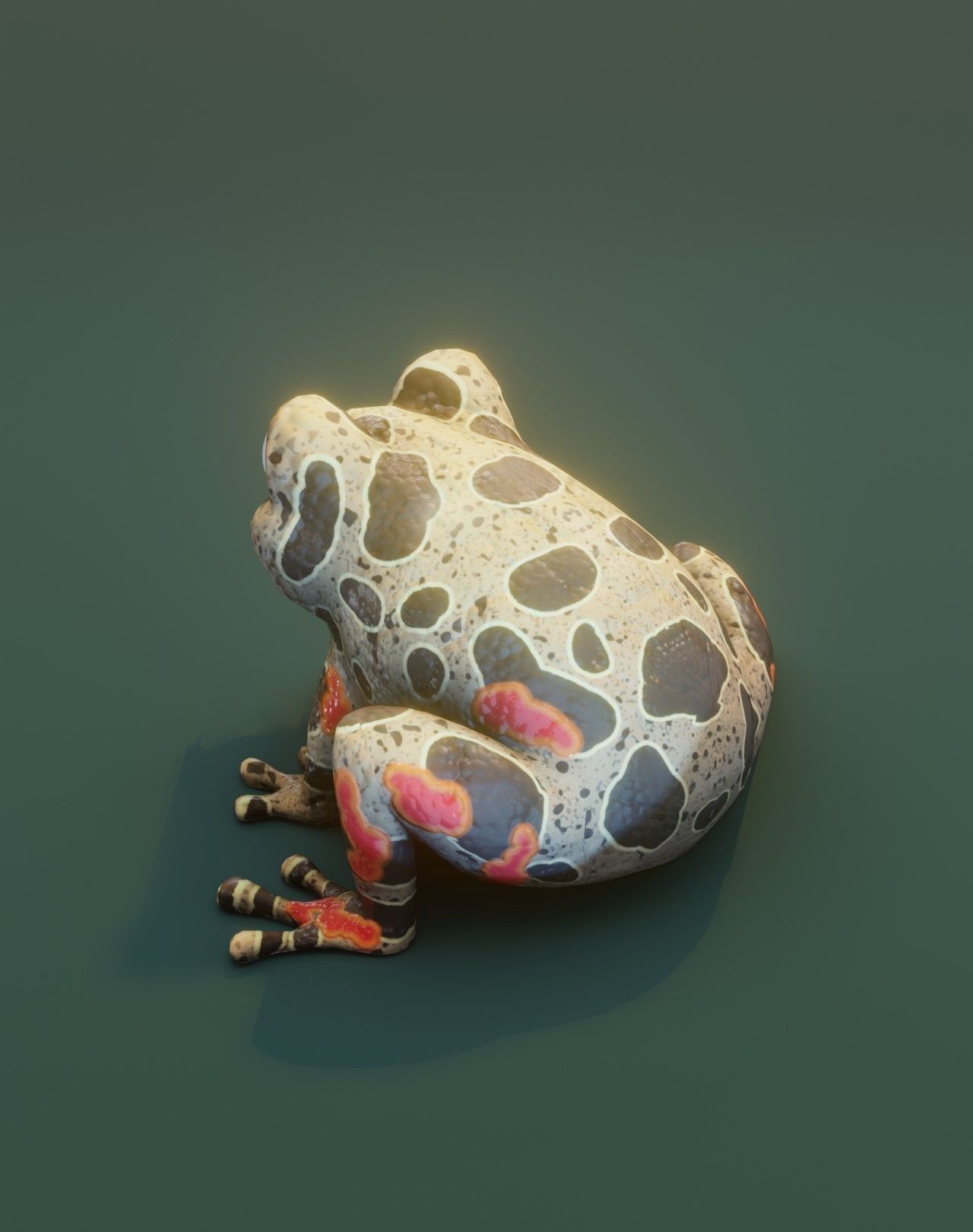 Cartoon Frog 3D Models Low-poly 3D model_45